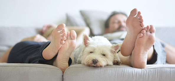 À la recherche d’une pompe à chaleur silencieuse ? Couple dans son lit en train de se reposer avec leur chien