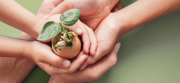 convention citoyenne pour le climat photo de mains d'adultes et d'enfants tenant une coquille d'oeuf dans laquelle pousse un arbre